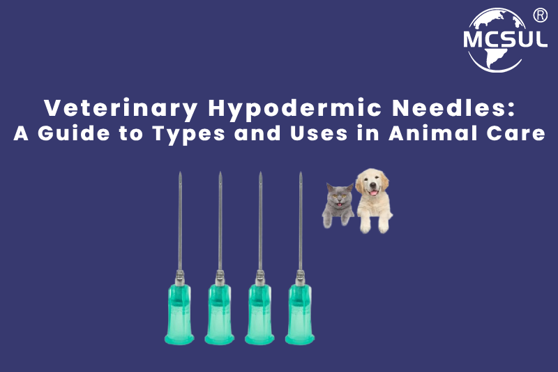 Veterinary Hypodermic Needles: A Guide to Types and Uses in Animal Care