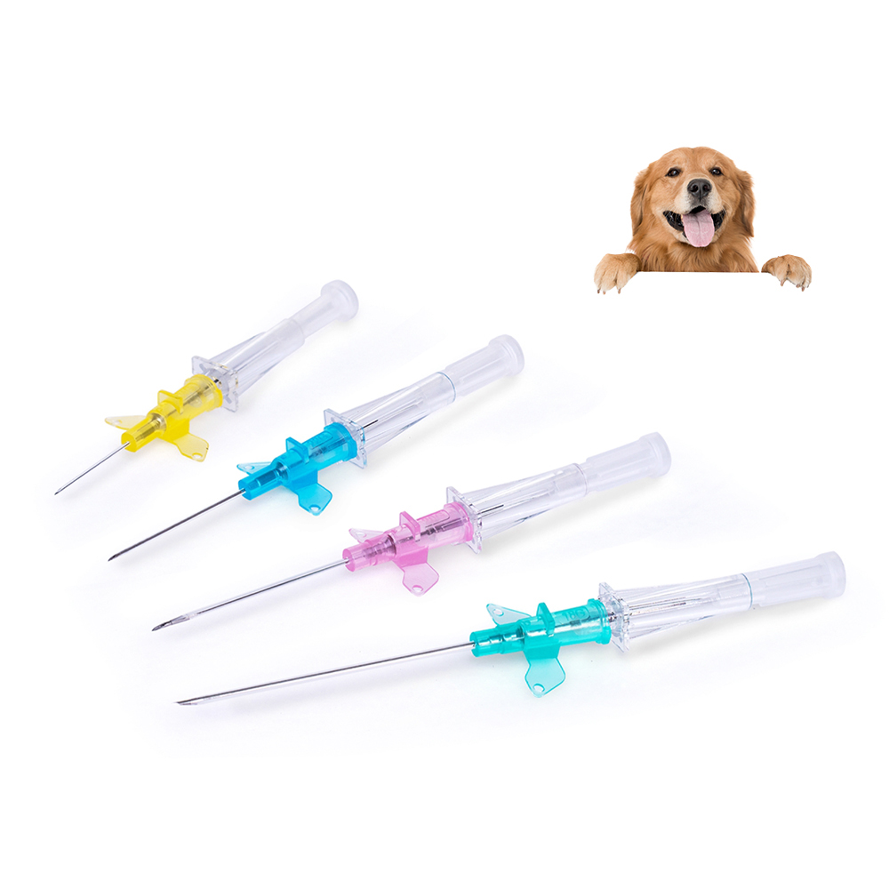 Veterinary IV Catheter