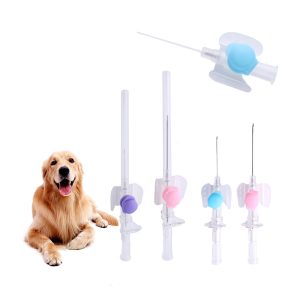 butterfly type iv cannula veterinary needle manufacturers and supplier