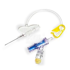 Indwelling Needle