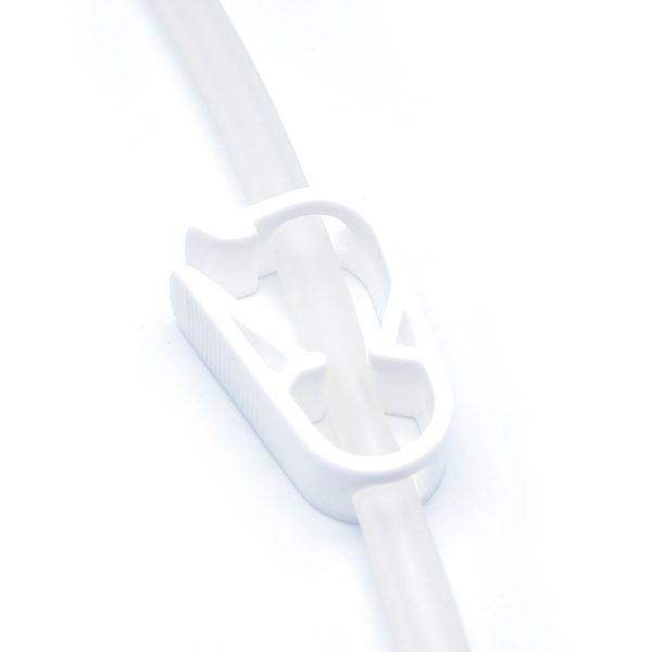 AV Fistula Needle (Internal Fistula Needle) - Image 6
