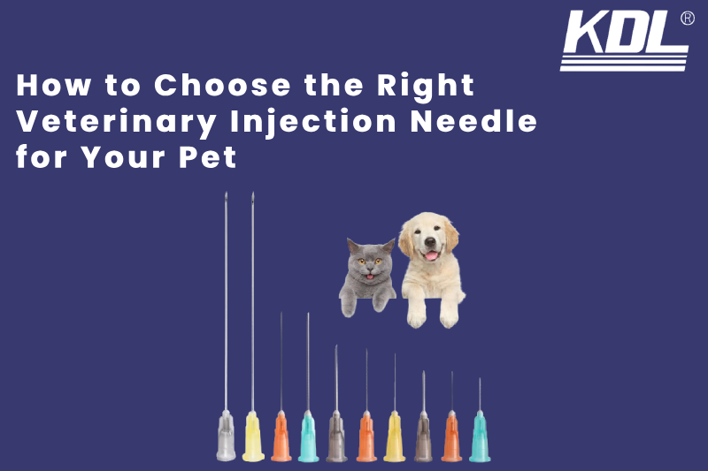 How to Choose the Right Veterinary Injection Needle for Your Pet How to Choose the Right Veterinary Injection Needle for Your Pet