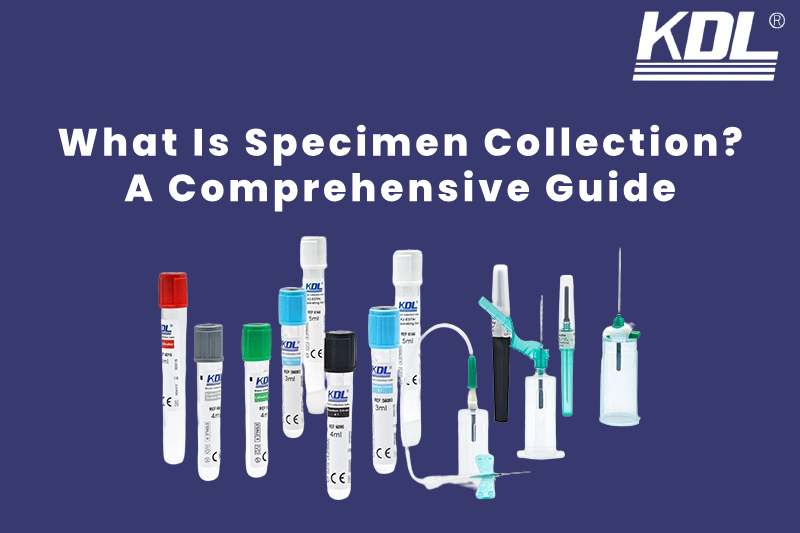 What Is Specimen Collection_ A Comprehensive Guide What Is Specimen Collection_A Comprehensive Guide