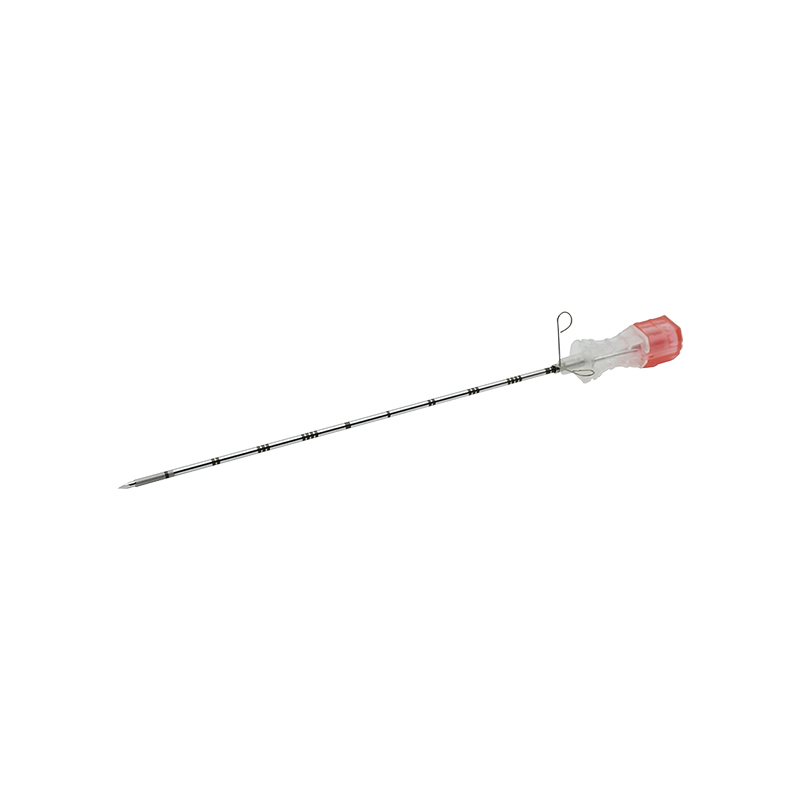 Disposable Coaxial Needle