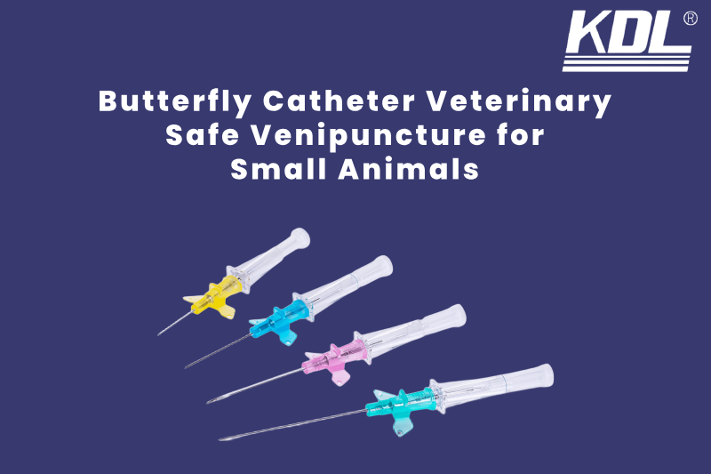 Butterfly Catheter Veterinary_ Safe Venipuncture for Small Animals