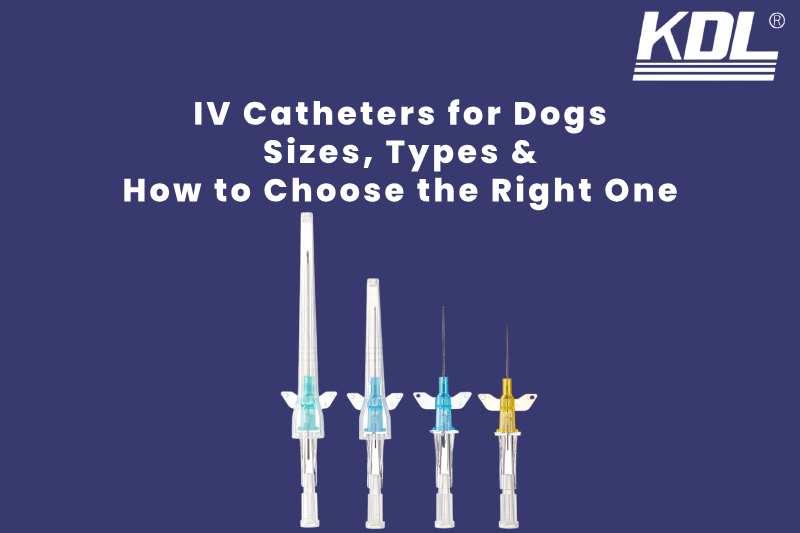 IV Catheters for Dogs_ Sizes, Types & How to Choose the Right One
