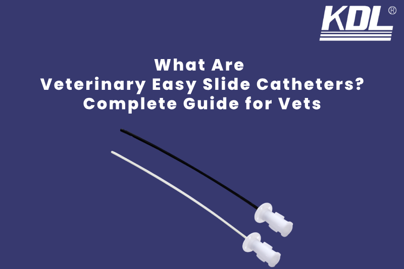 What Are Veterinary Easy Slide Catheters_ Complete Guide for Vets