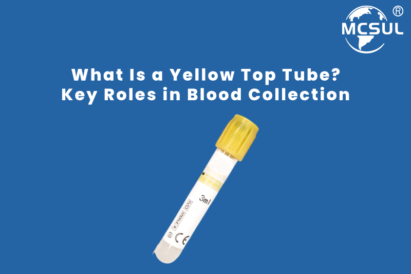 What Is a Yellow Top Tube_ Key Roles in Blood Collection