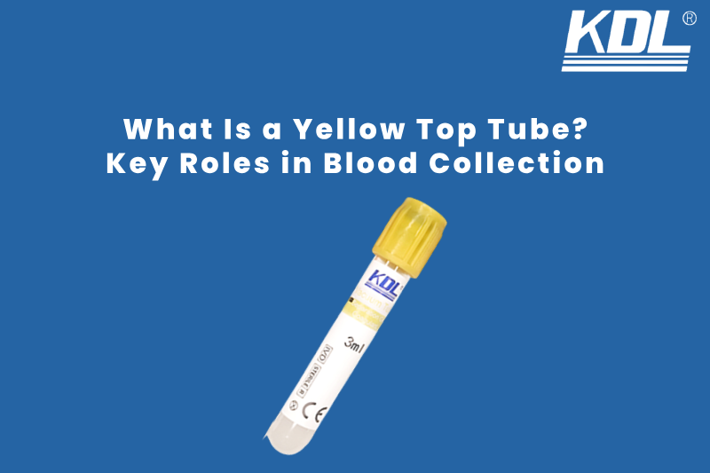 What Is a Yellow Top Tube_ Key Roles in Blood Collection
